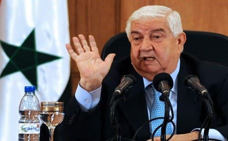 Syrian Foreign Minister Walid al-Moallem speaks in this undated image. File photo: AP