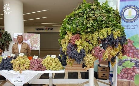 Li Duhokê festîvala tirî û hingiv hat lidarxistin