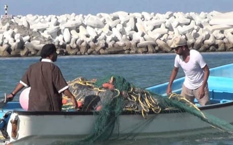 الشرطة العراقية تباشر بحملة لمنع الصيد الجائر للأسماك
