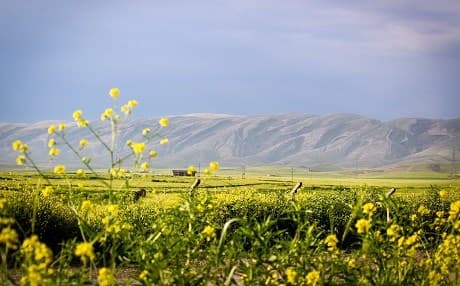 The PUK believe Bazhdar Safar Mohammed was killed by ISIS somewhere on or near Mount Qarachogh, pictured here on April 11, 2019. Photo: Rob Edwards/Rudaw