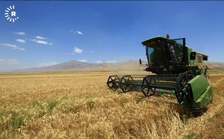 A farmer in Sulaimani harvests wheat in the Kurdistan Region’s Sulaimani province in June 2018. File photo: Sartip Othman | Rudaw