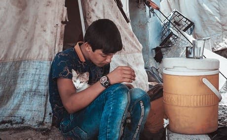 An IDP boy and his cat sit in a tent in Hamam al-Alil camp near Mosul, northern Iraq. Photo: Alan Ayoubi / NRC 
