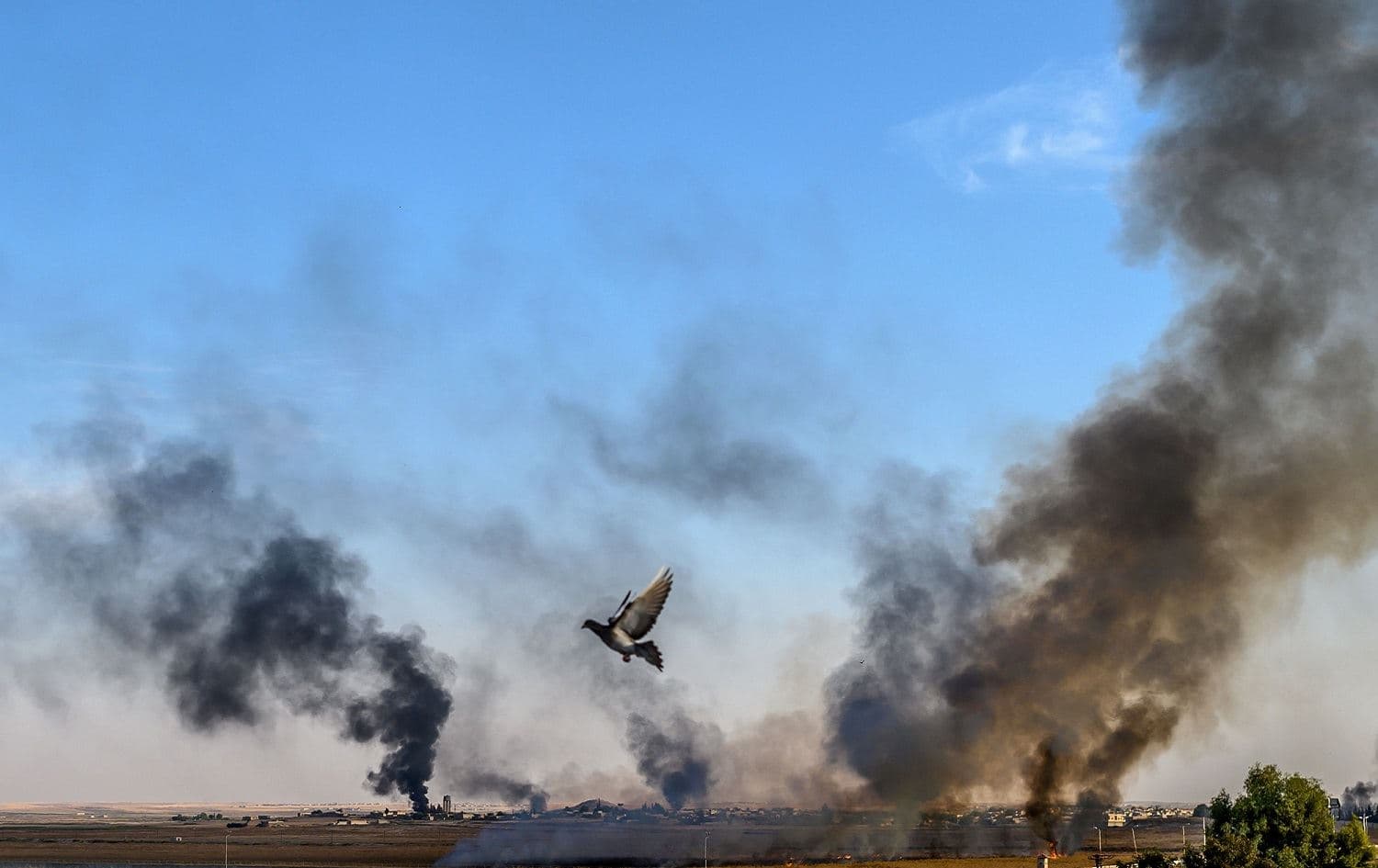 Smoke rises from the Syrian town of Tal Abyad, October 10, 2019. Photo: Bulent Kilic / AFP 