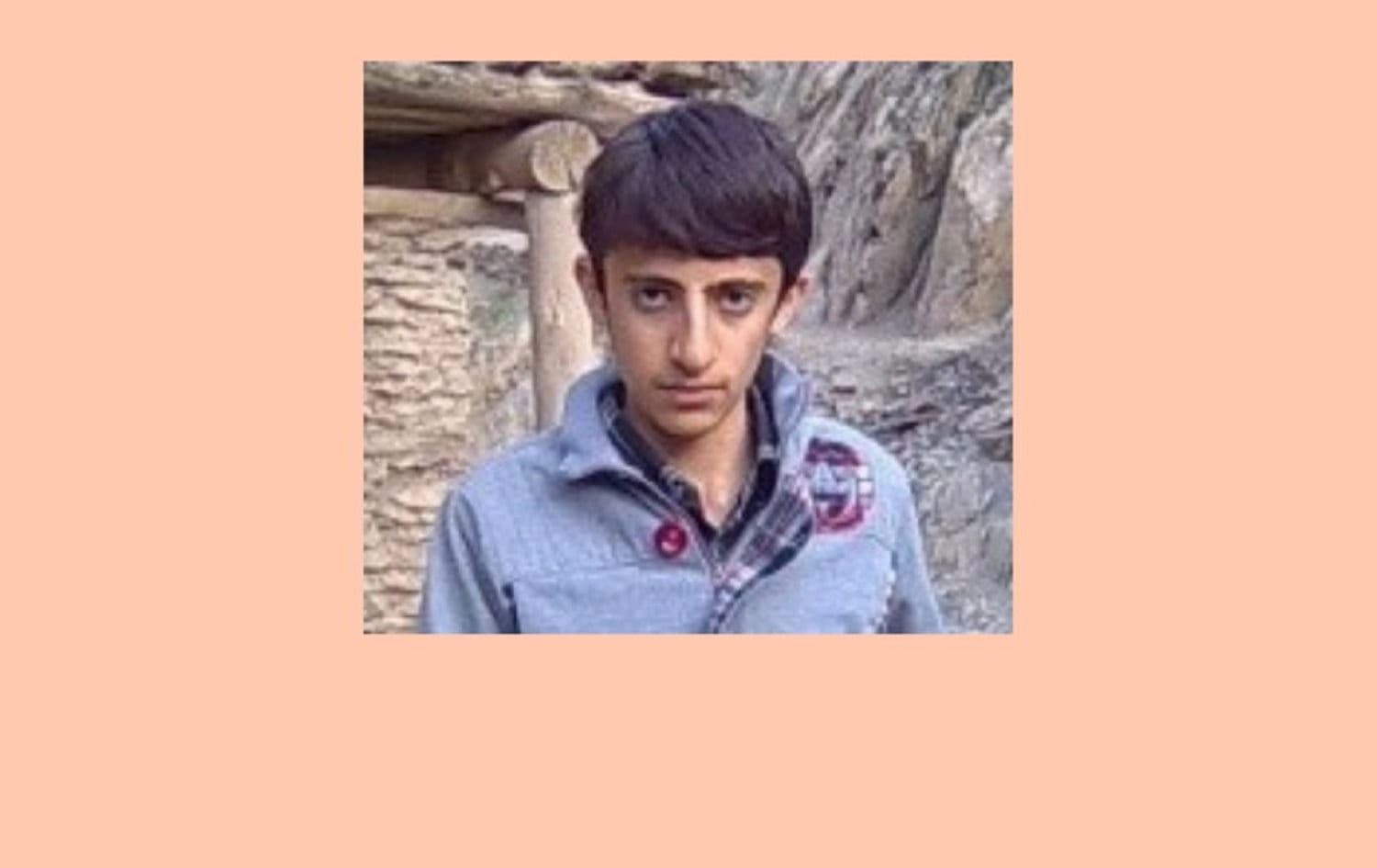 Barzan Nasrollahzadeh. Photo: Amnesty Iran