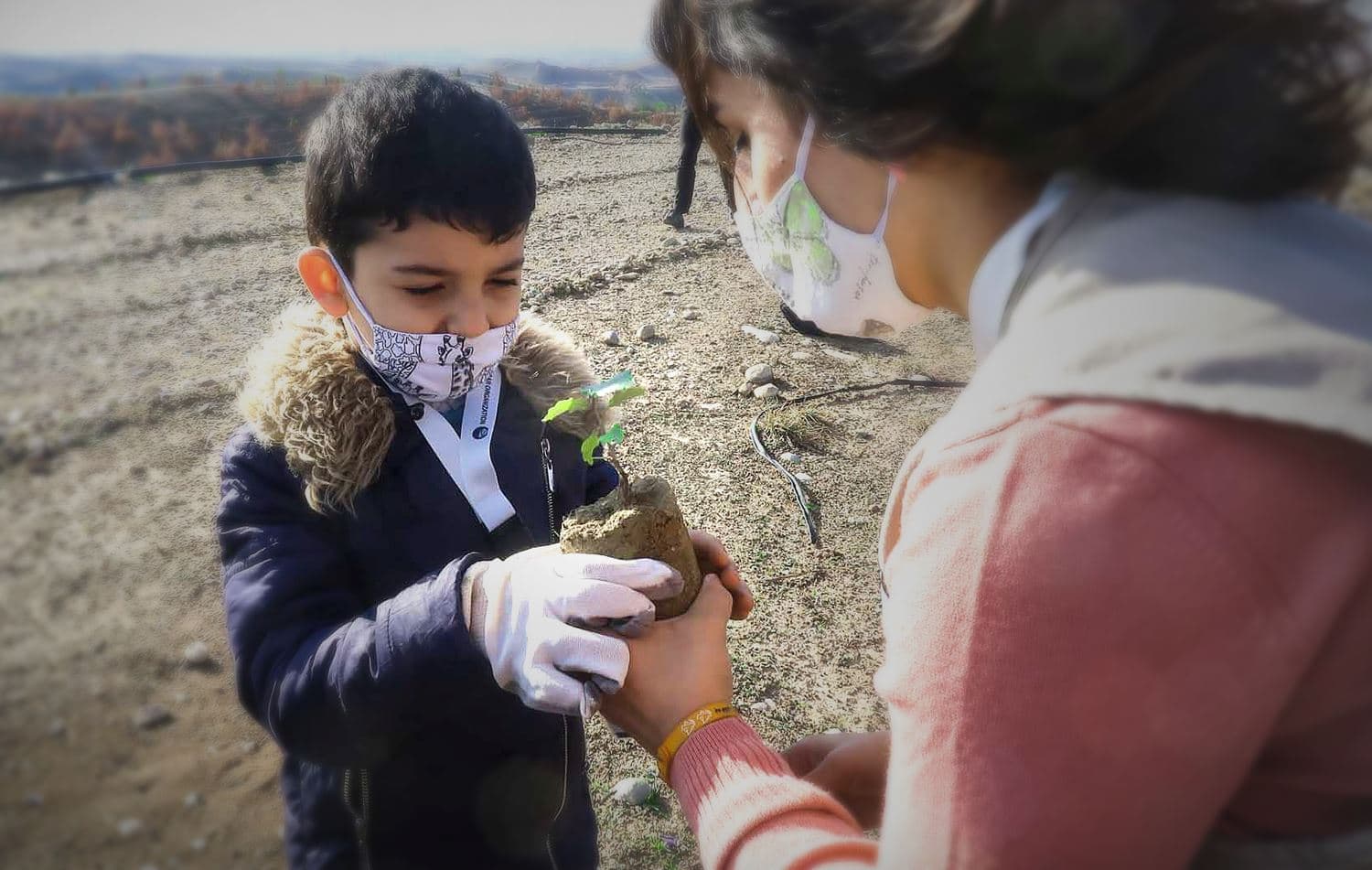 Kurdistan’s mighty oak: nurturing a now vulnerable species