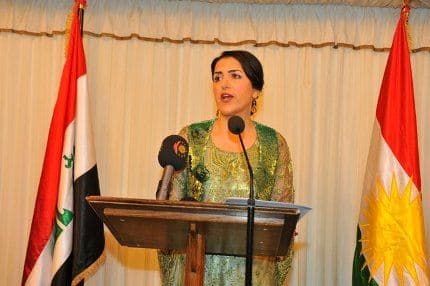 Kurdish Official Calls for Defense Support from Western Allies