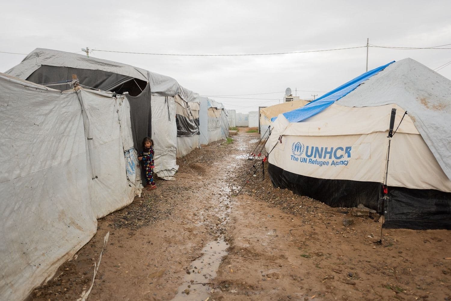A girl peeks out from near a tent at Hassan Sham camp on November 26, 2020. Photo: Bilind T. Abdullah / Rudaw