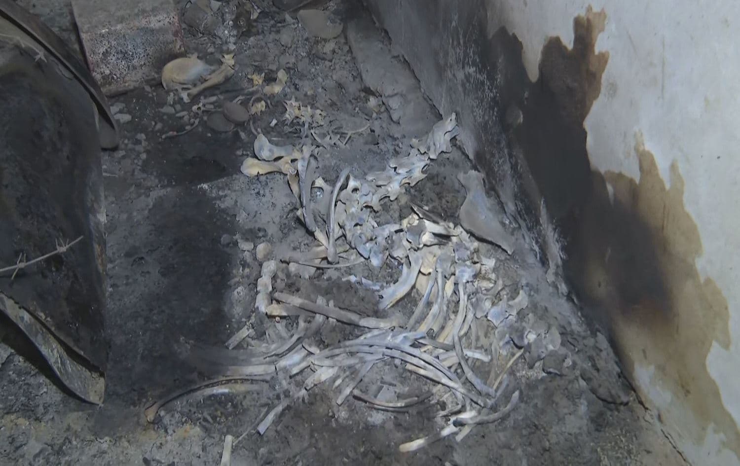 The remains of three people were found in Shingal on April 9, 2021. Photo: Rudaw