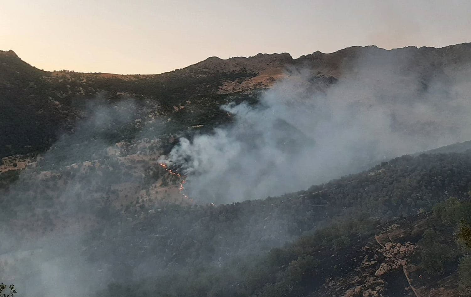 File photo of a wildfire in Penjwen in July 2020. Credit: Mlakawa environmental organization