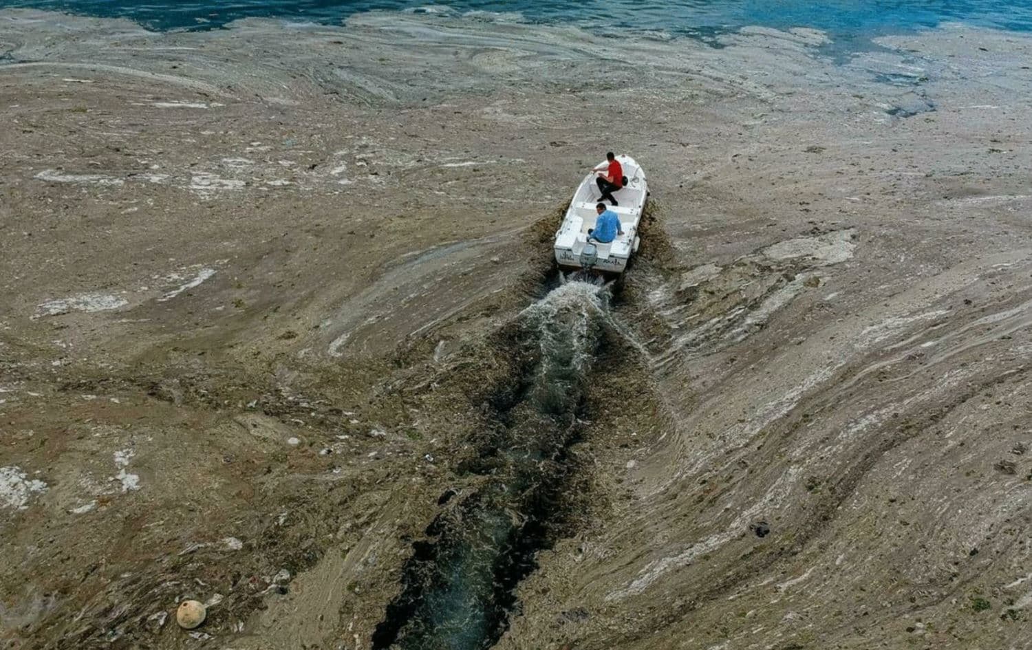 Vast patches of 'sea snot' mucilage on Turkey's coastline this summer put the spotlight on caring for the Mediterranean Yasin AKGUL AFP/File