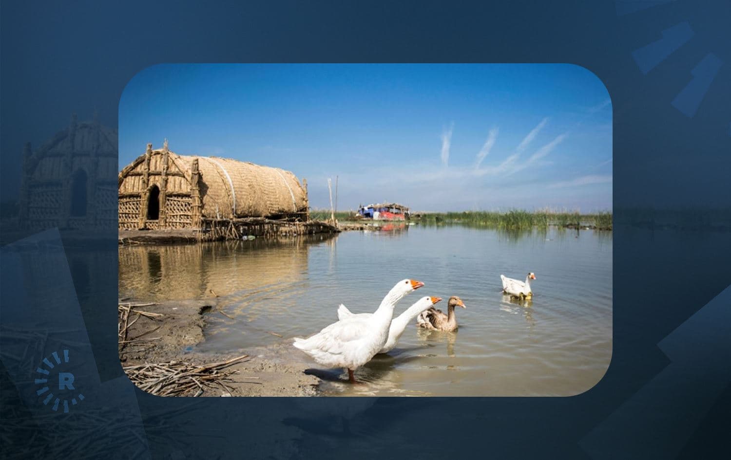 A photo of one of Iraq's marshes. File photo: Hussein Faleh/AFP