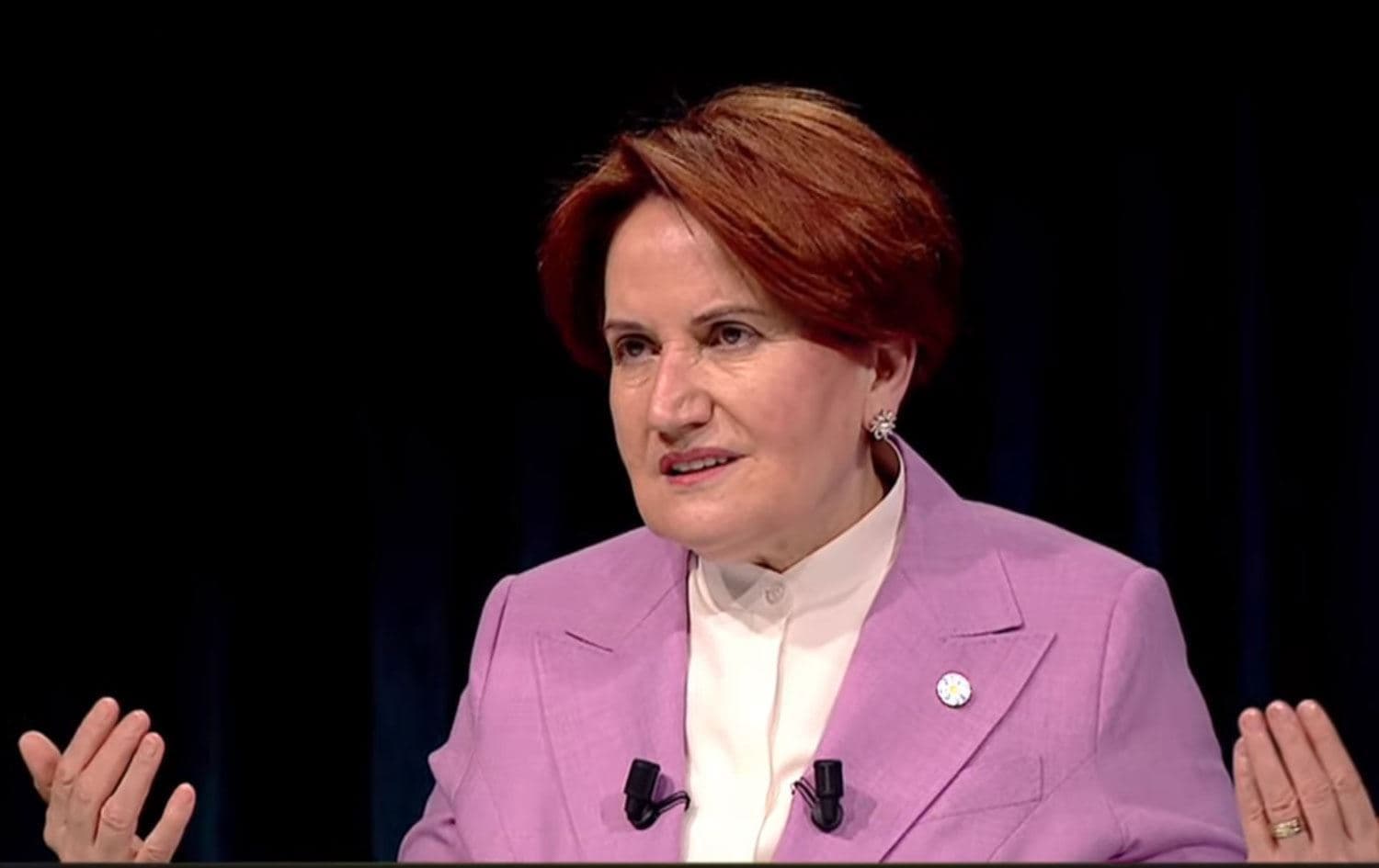 İYİ Parti Genel Başkanı Meral Akşener