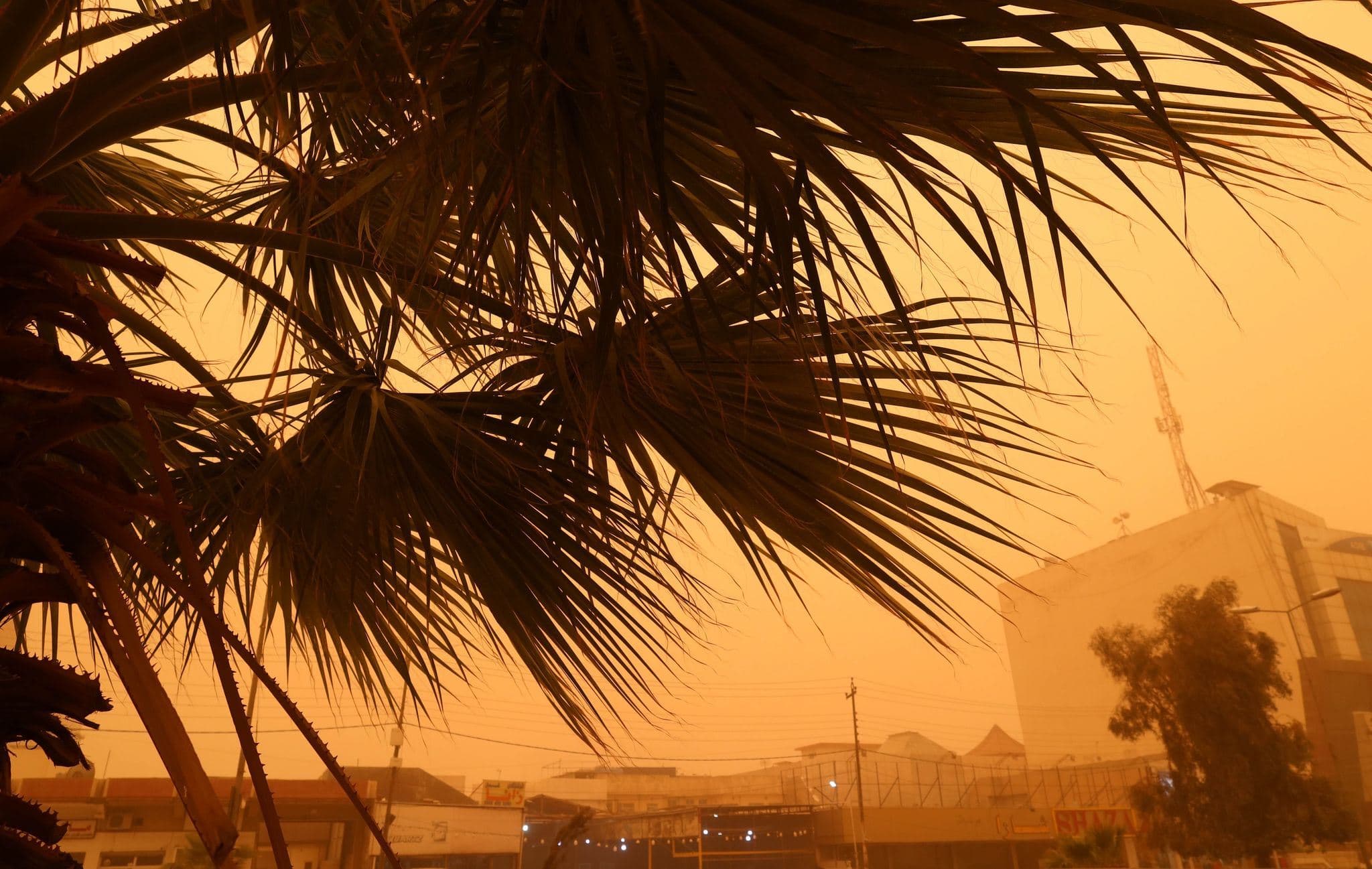 Erbil in the haze of a dust storm, which impacted many across Iraq and the Kurdistan Region on April 7, 2022. Photo: Alannah Travers/Rudaw