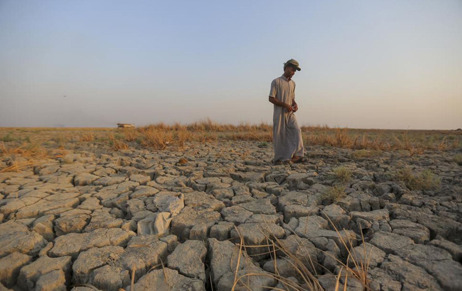 A fisherman walks across a dry patch of land in the marshes of southern Iraq which has suffered dire consequences from back to back drought and rising salinity levels, in Dhi Qar province, Iraq, Friday Sept. 2, 2022. Photo: Anmar Khalil/AP