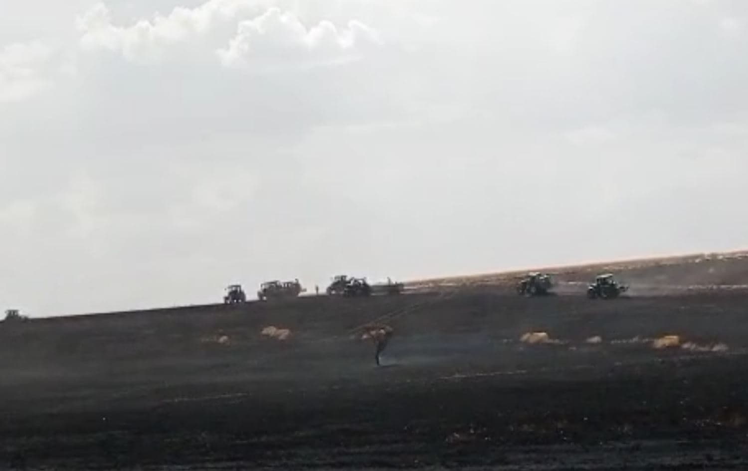 Wêne: Bismil Haber