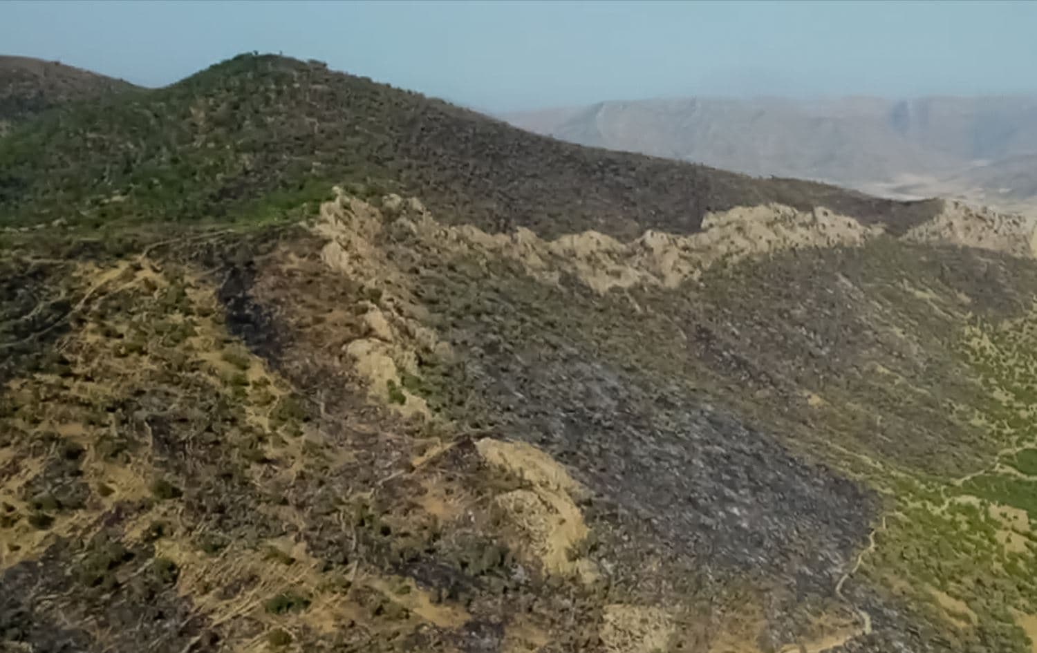 The scale of devastation inflicted by the forest fires in Iran's western Kurdistan province on July 30, 2023. Photo: screengrab/Chya the Green Association/Hengaw