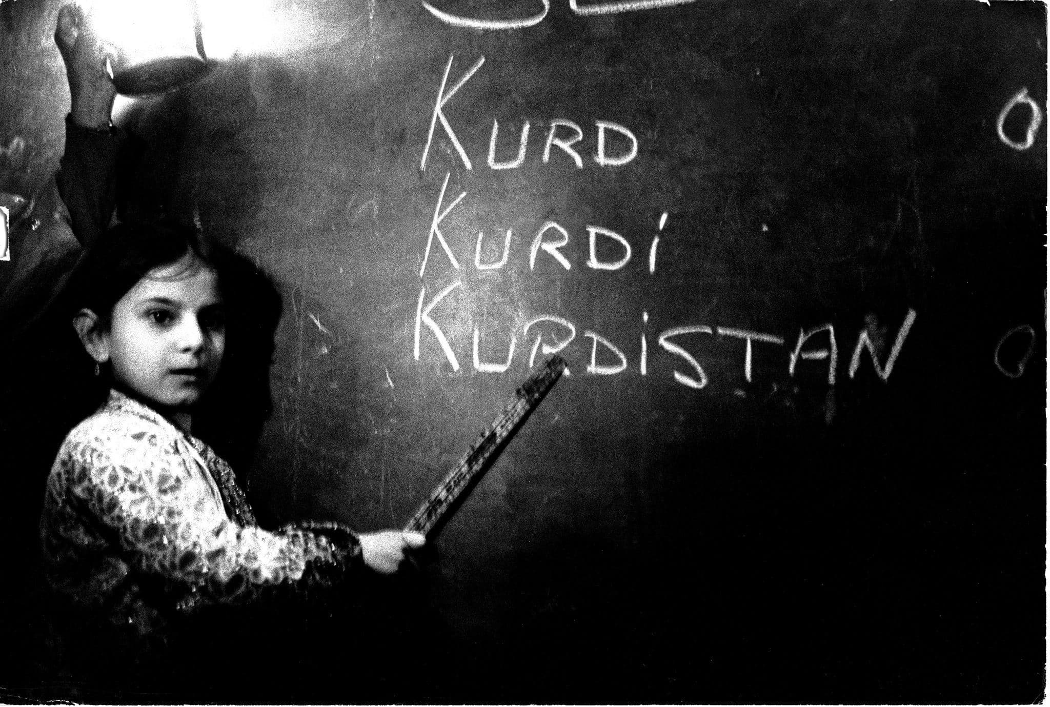 Platforma Zimanê Kurdî bi peyamekê sala nû pîroz kir / Wêne: Arşîv