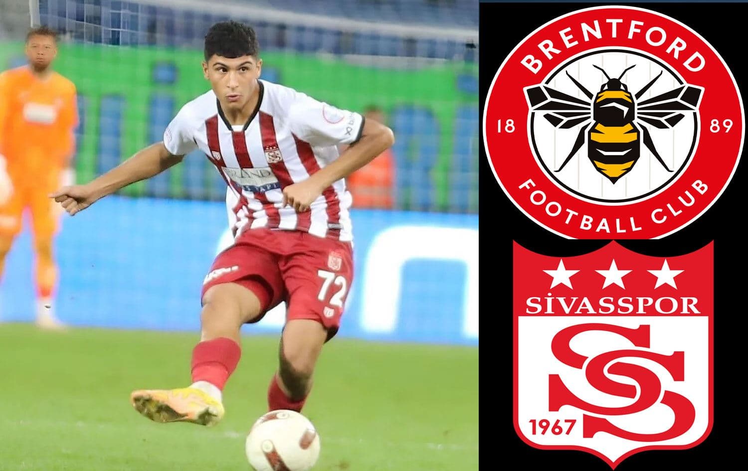 Yunus Emre Konak
