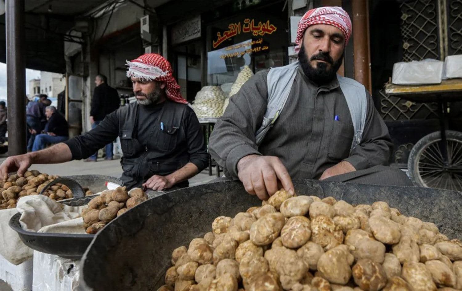 Stallholders sort their desert truffle stock at the market in Syria's Hama province. Photo: AFP