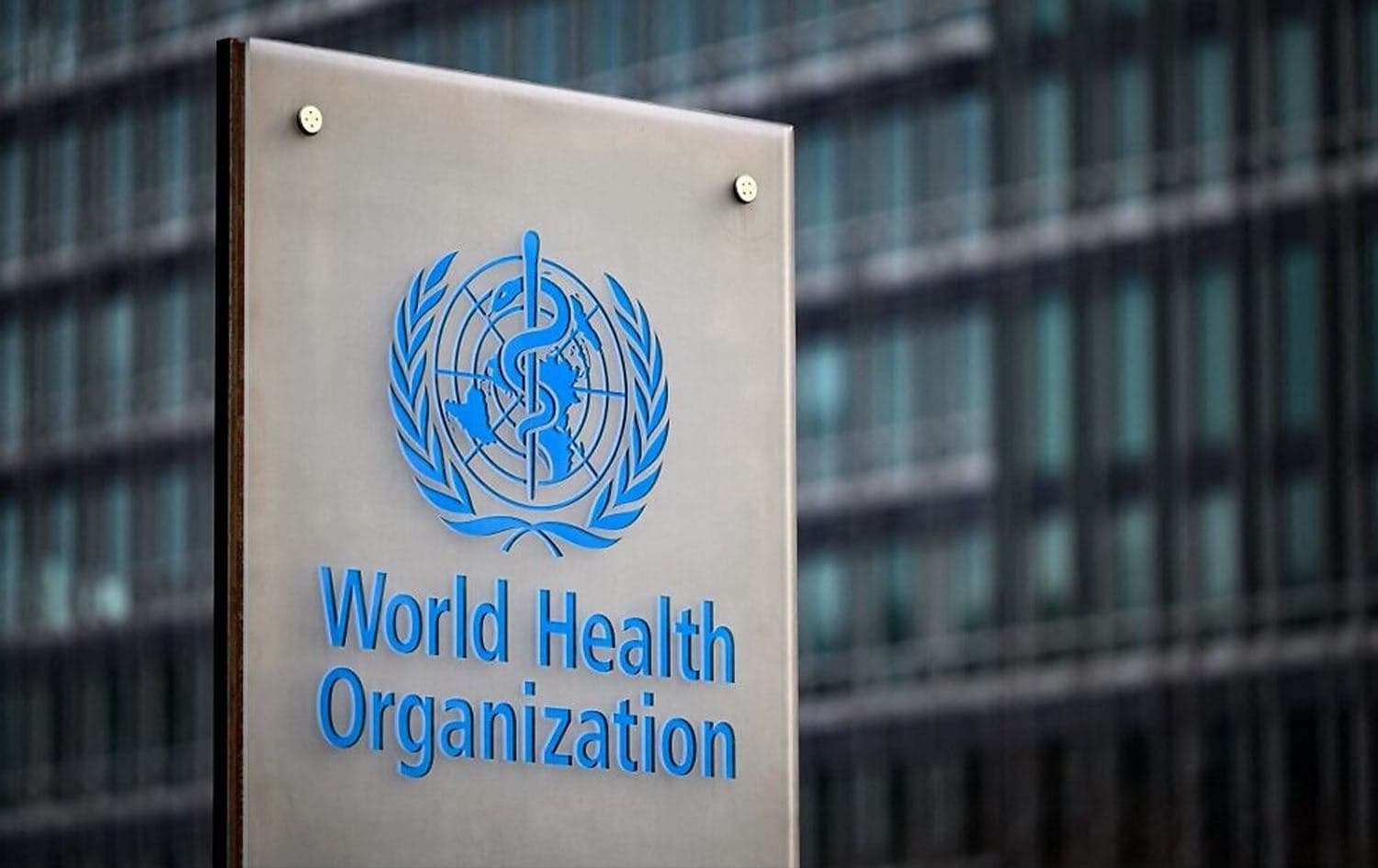 This photograph taken on December 7, 2021, shows a sign of the World Health Organization (WHO) at its headquarters in Geneva. Photo: Fabrice Coffrini/AFP