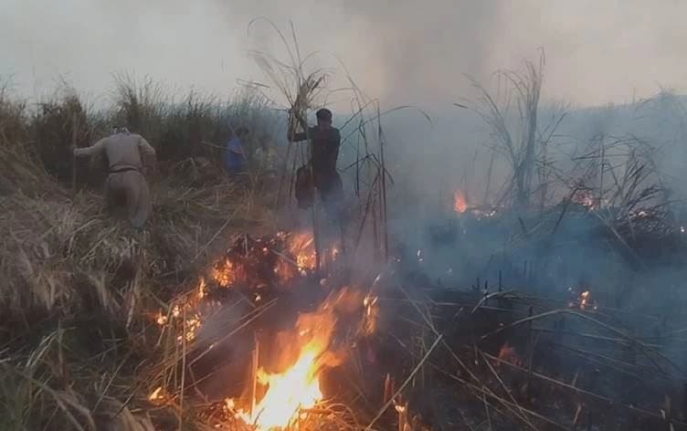 دیمەنێکی ئاگرکەوتنەوە لە رۆژهەڵاتی کوردستان. وێنە: ئەرشیڤ