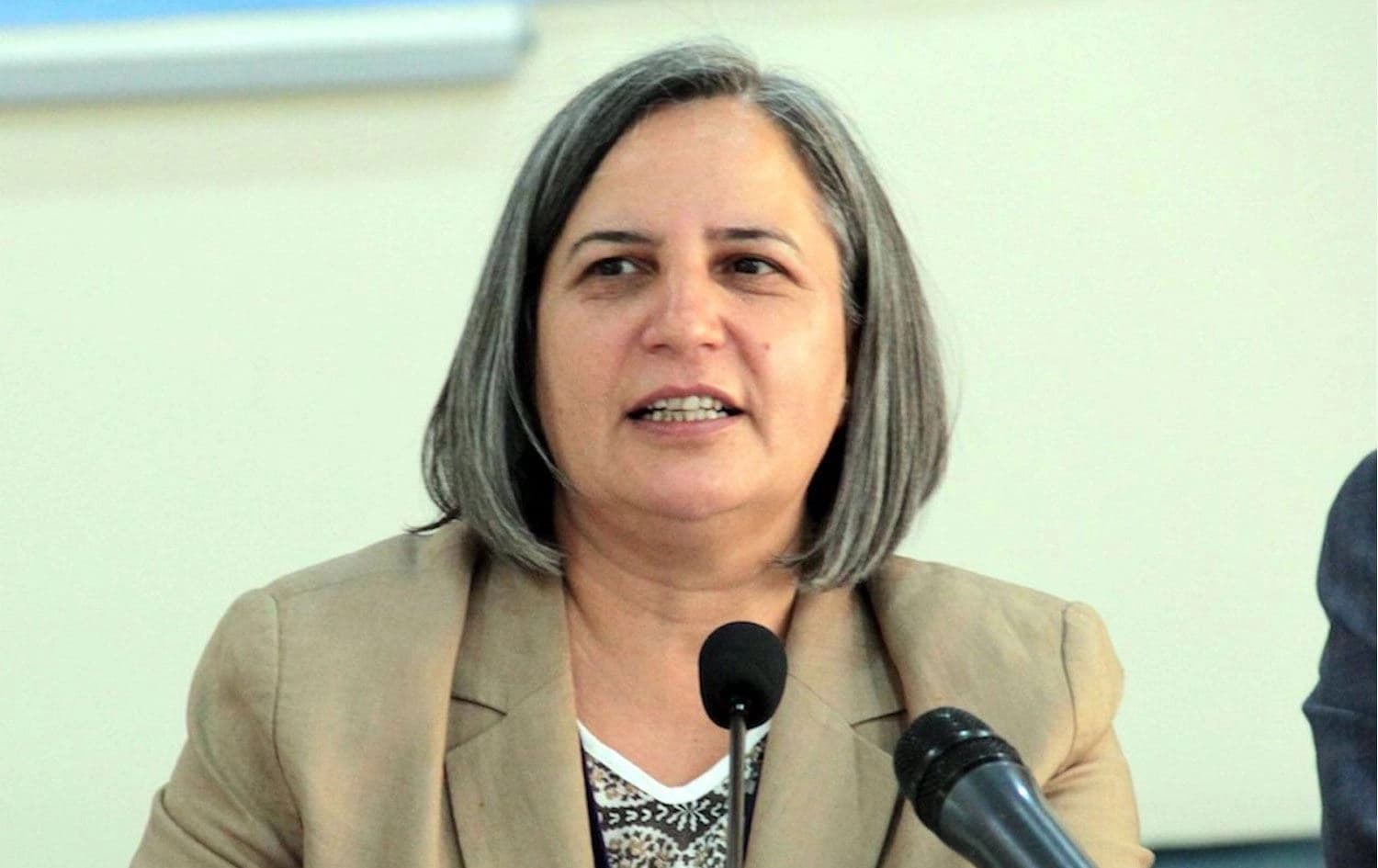 Gültan Kışanak / Arşiv