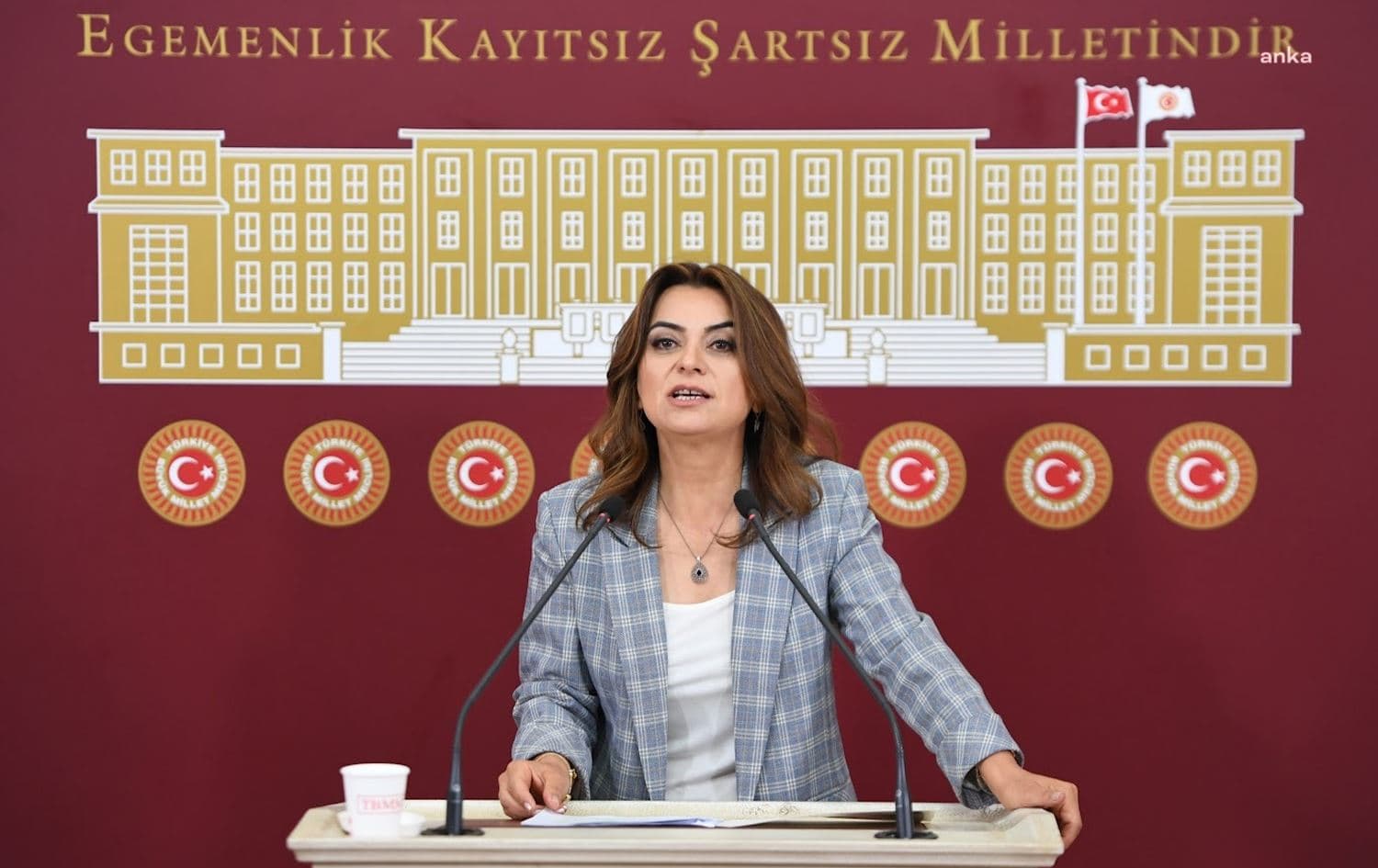  Parlamentera DEM Partiyê Gulistan Kiliç Koçyîgît / Wêne: Arşîv