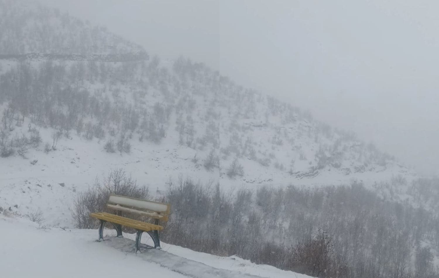 دیمەنی ئەمڕۆی بەفر لە وەرتێ 