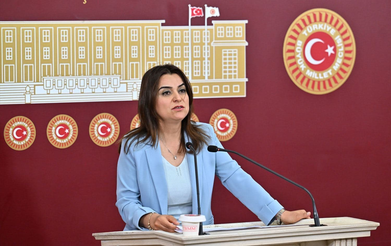 DEM Parti Grup Başkanvekili Gülistan Kılıç Koçyiğit / Arşiv