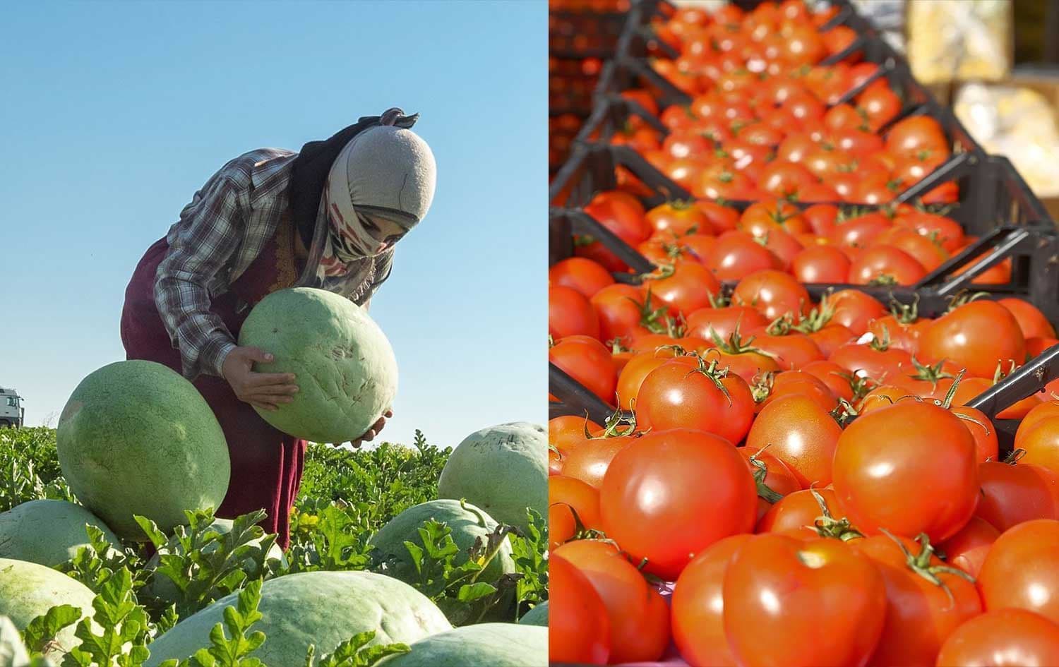 Fotoğraf: Rûdaw