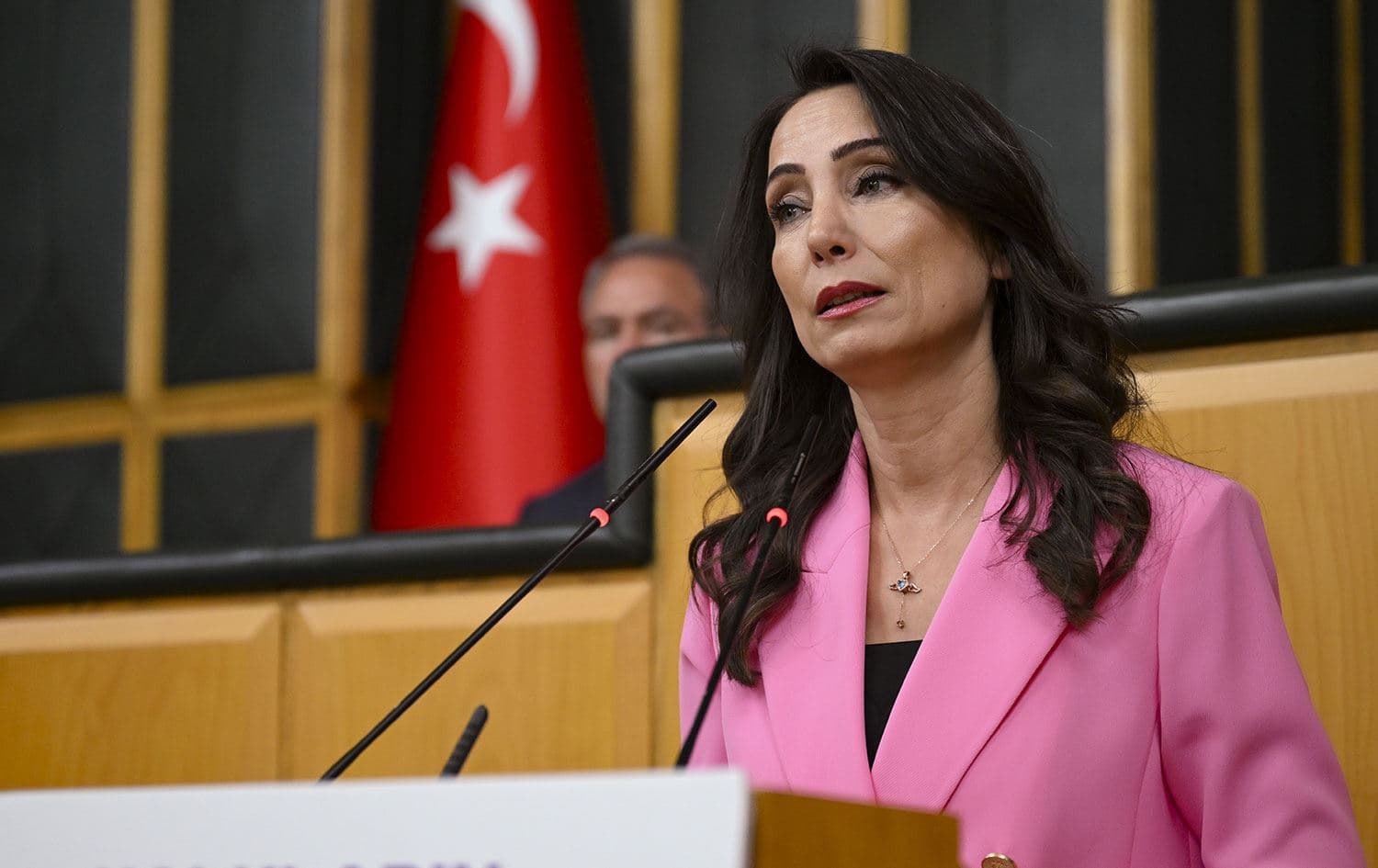 Tülay Hatimoğulları