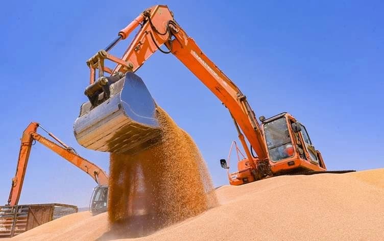 بەرهەمی گەنم لە هەرێمی کوردستان؛ وێنە: رووداو - ئەرشیف
