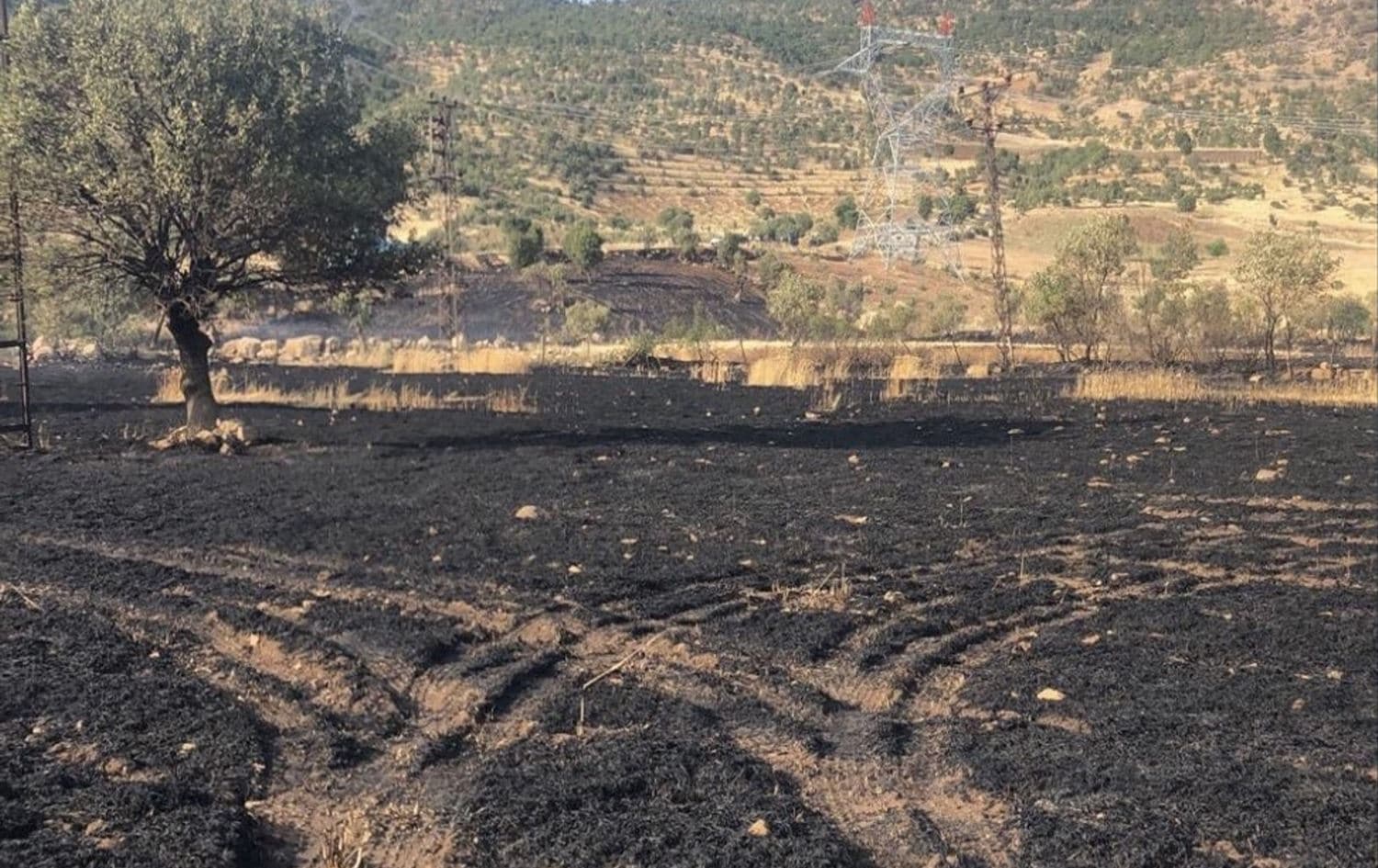 Zeviya ku şewitiye / Wêne: AA