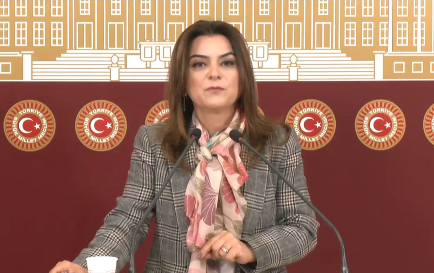 گوڵستان کڵچ کۆچیغیت، بریکاری سەرۆکی فراکسیۆنی دەم پارتی