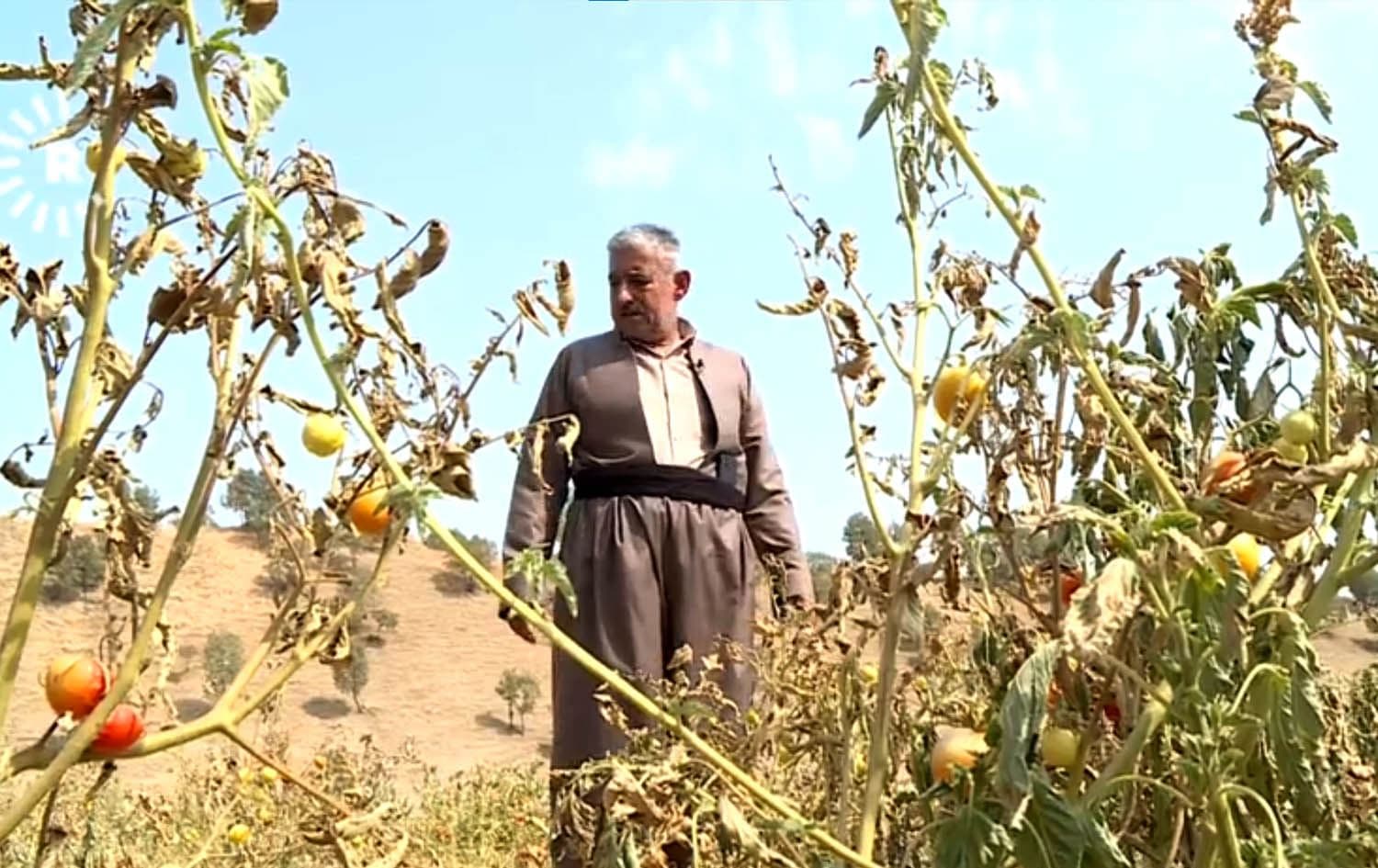 کەمئاوی هەڕەشە لە گوندەکانی شارباژێڕ دەکات؛ "ئەگەر دۆخەکە وابێت، دەبێت بچم بۆ شار"
