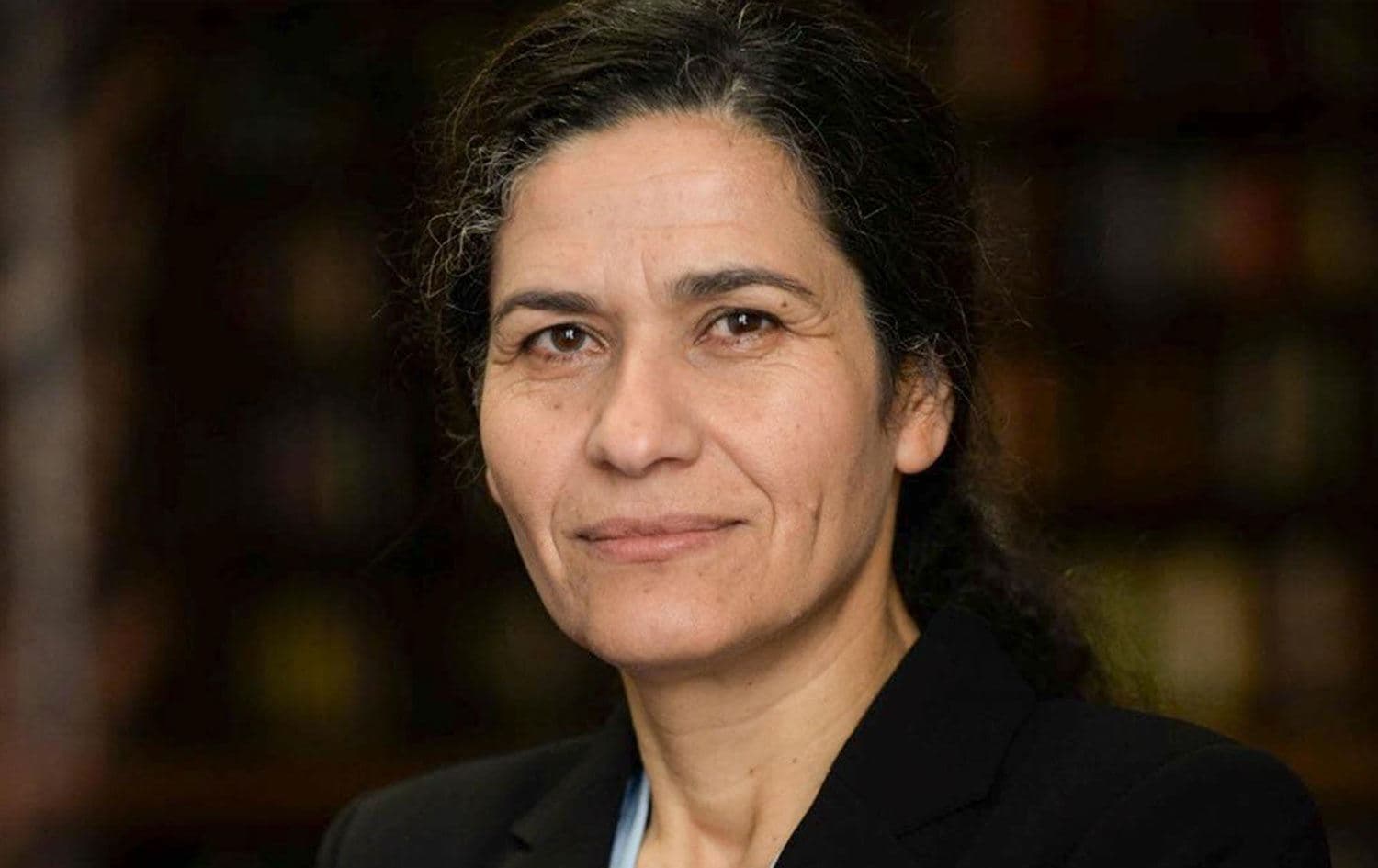 Rojava Dış İlişkiler Dairesi Eş Başkanı İlham Ahmed