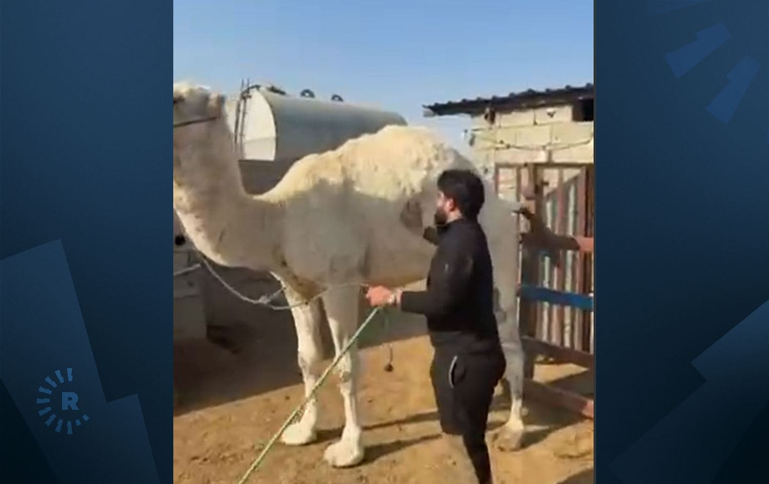 یەکێک لەو گۆشتفرۆشانەی گۆشتی حوشتر دەفرۆشێت.