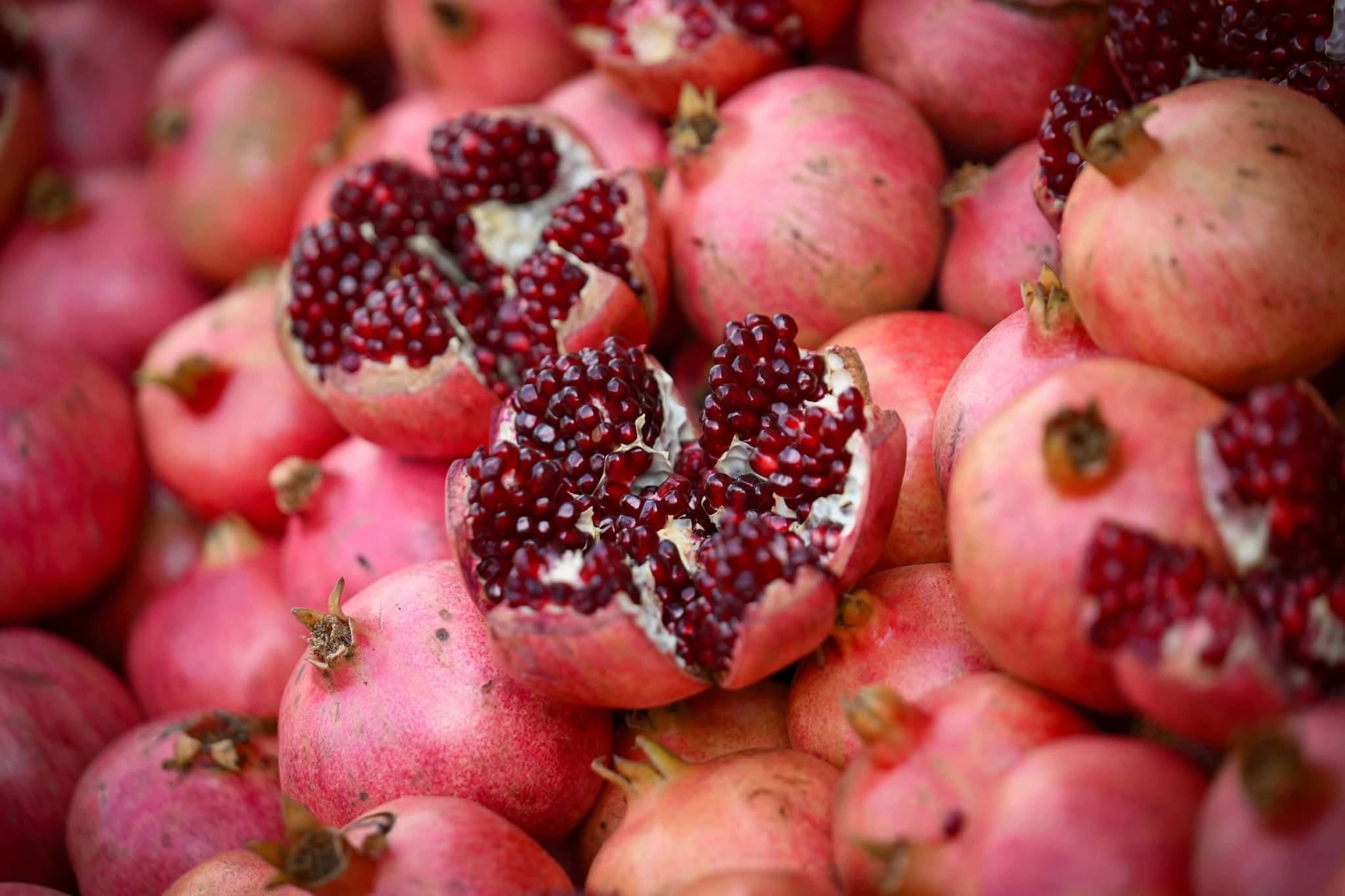 Thousands attend Halabja Pomegranate Festival