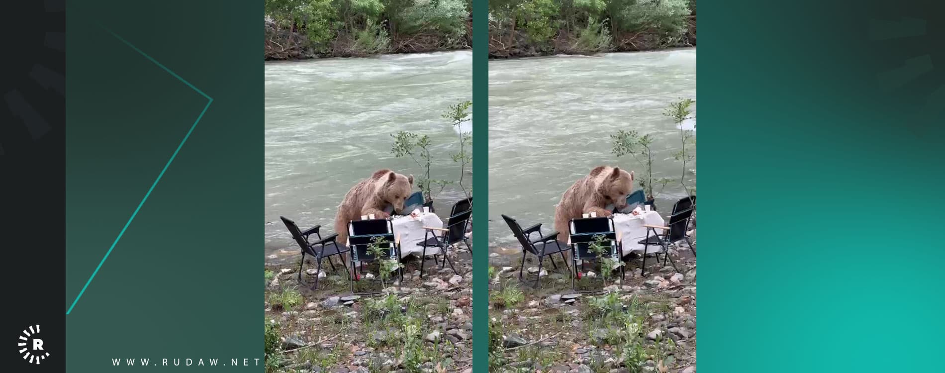Bir ayı, Munzur Vadisi’nde piknikçilerin sofrasına konuk oldu
