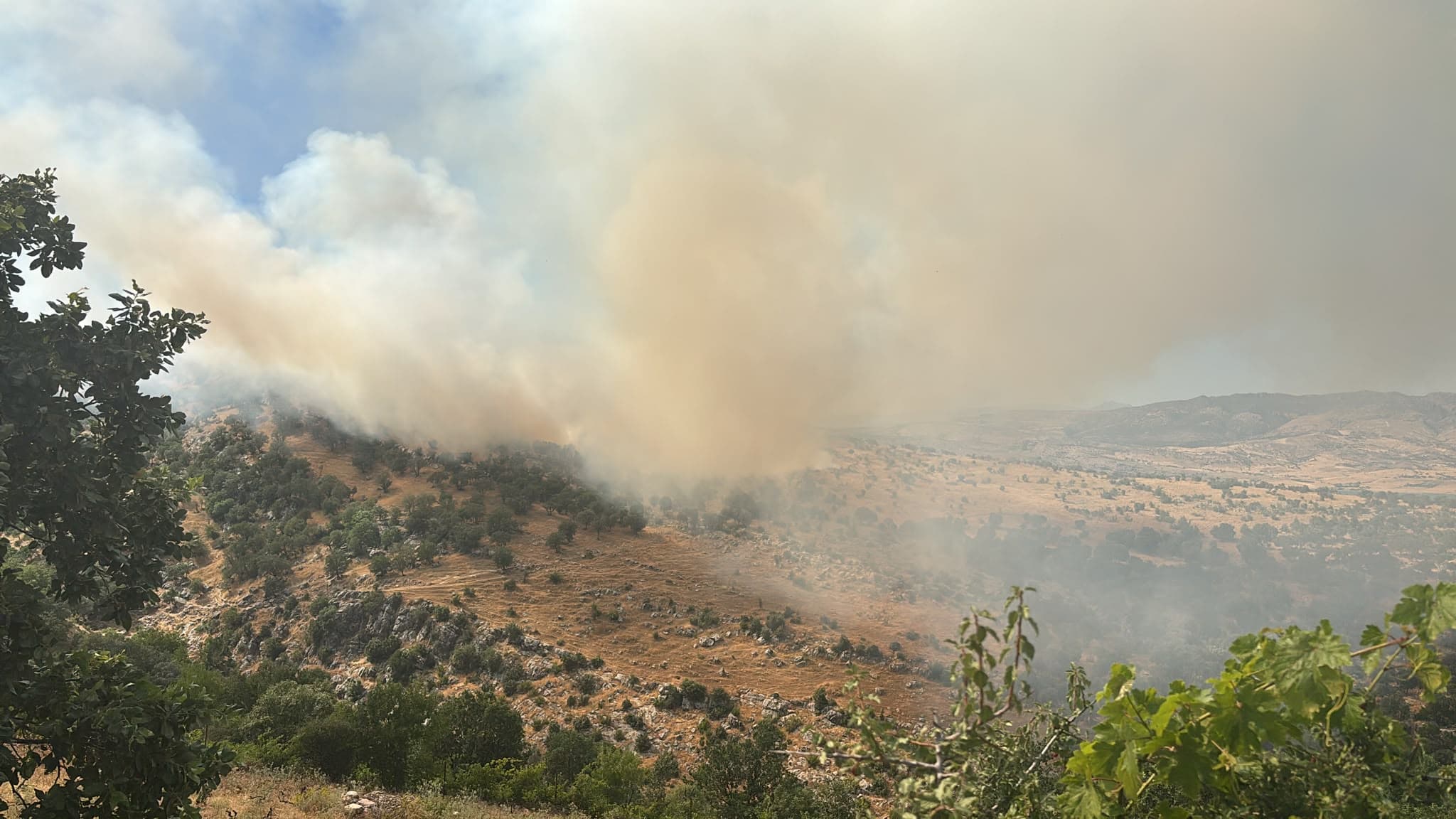 Diyarbakır'da çıkan orman yangınına müdahale ediliyor