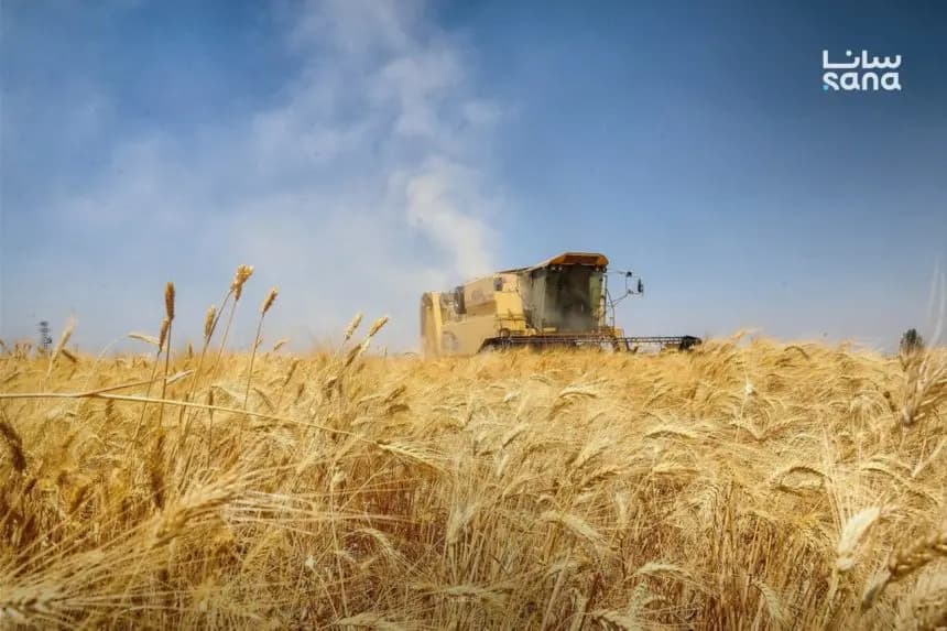 بەڕێوەبەرایەتیی دانەوێڵەی حەسەکە: 600 هەزار تۆن گەنم لە پارێزگاکەمان وەرگیراوە
