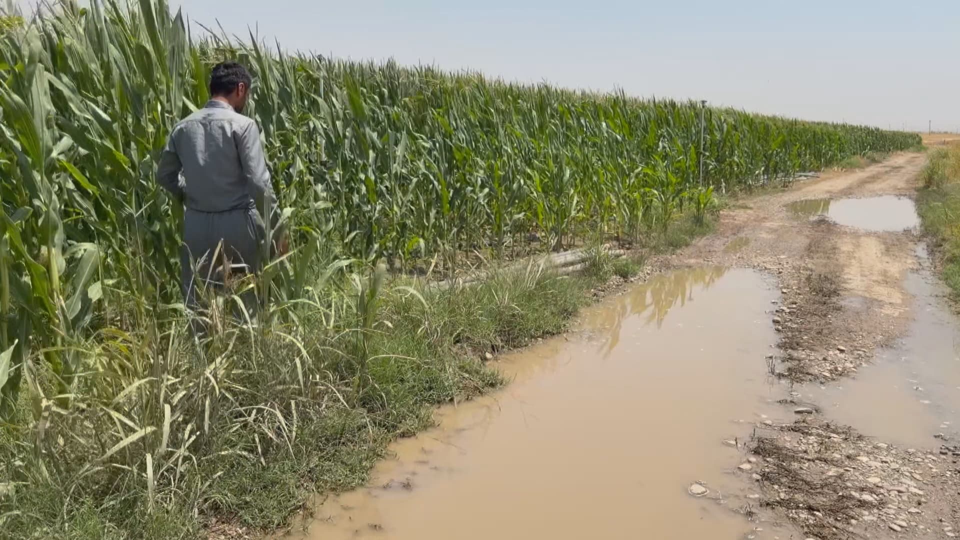 چارەنووسی جووتیارێکی کورد لە سنووری پردێ نادیارە