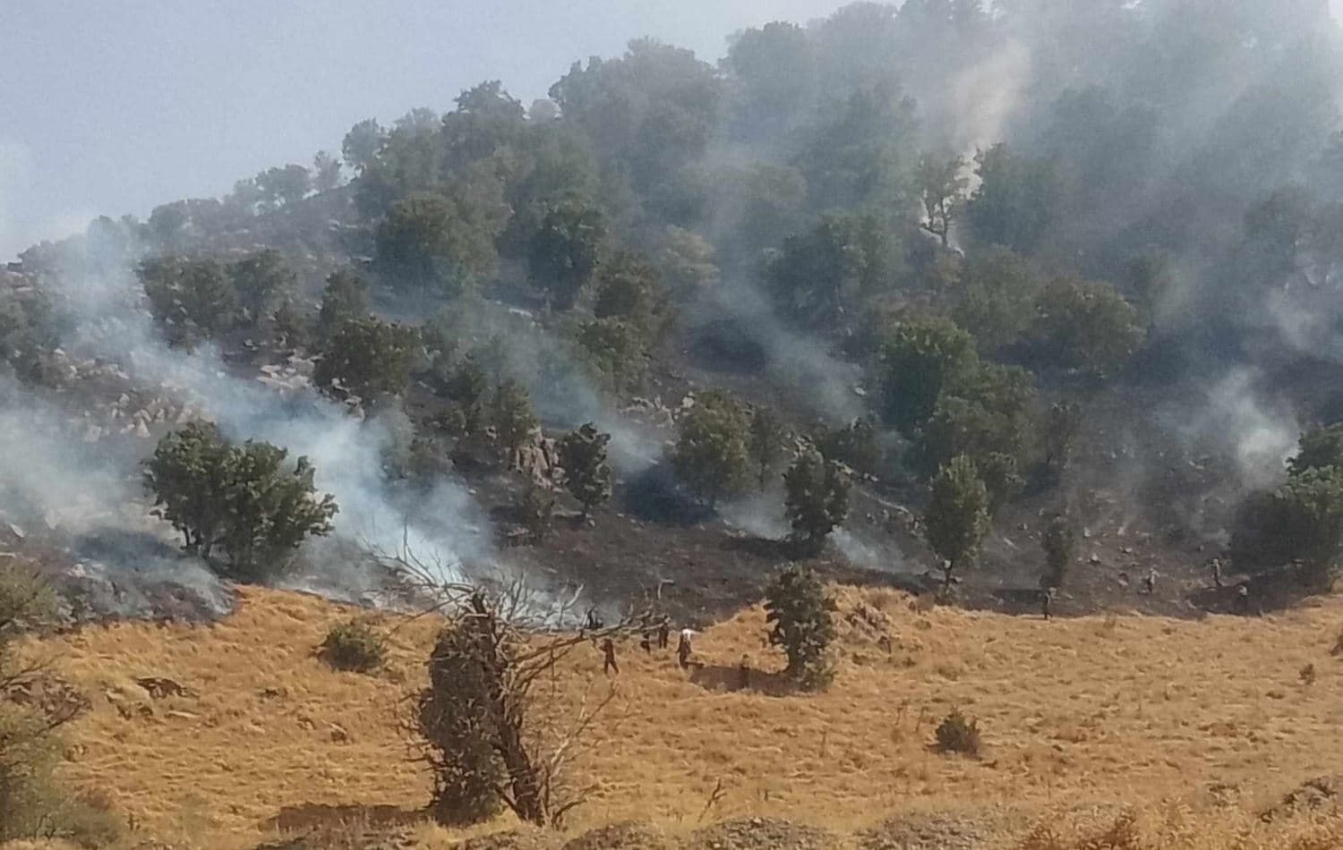 پۆلیسی دارستان: رێکارەکانی رێگریکردن لە ئاگرکەوتنەوە تووندتر دەکرێن و ئامارەکان کەمیان کردووە