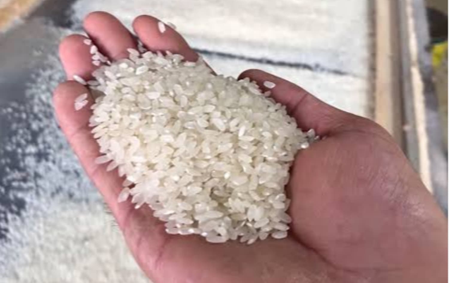 بازرگانێک: برنجی بیانی دەکرێتە نێو کیسەی برنجی کوردی و دەفرۆشرێت