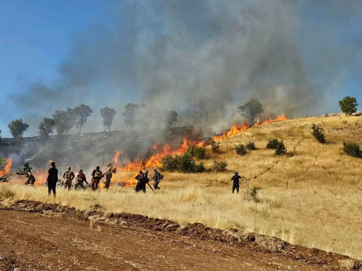 ئاگرەکەی سنووری هەڵەبجە بەردەوامە؛ سێ کەس بریندار بوون و هەزاران دۆنم دارستان سووتاوە
