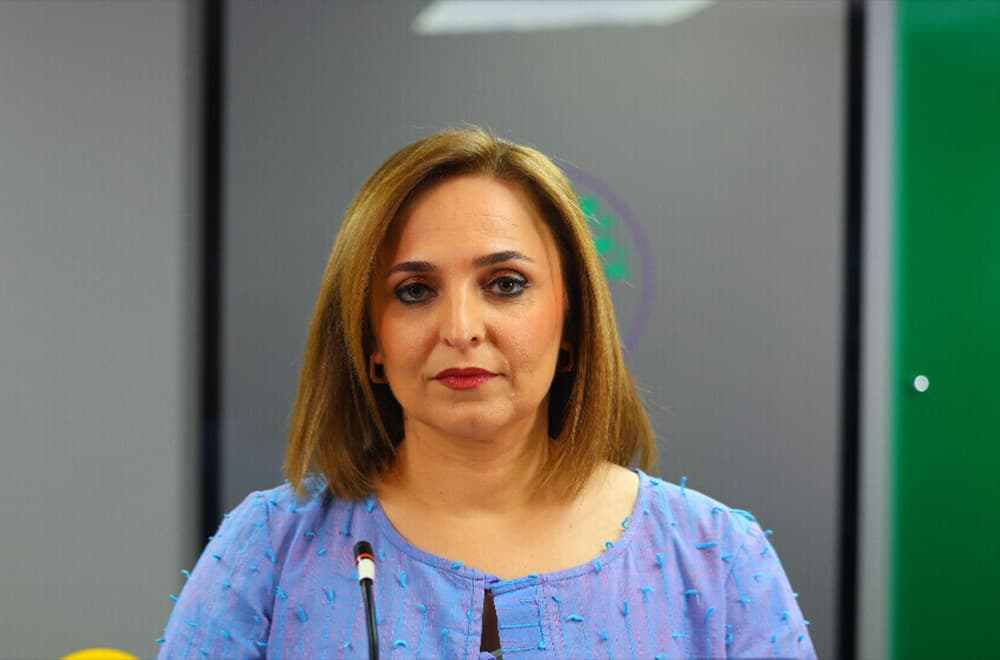 ئایشەگوڵ دۆغان، گوتەبێژی دەم پارتی