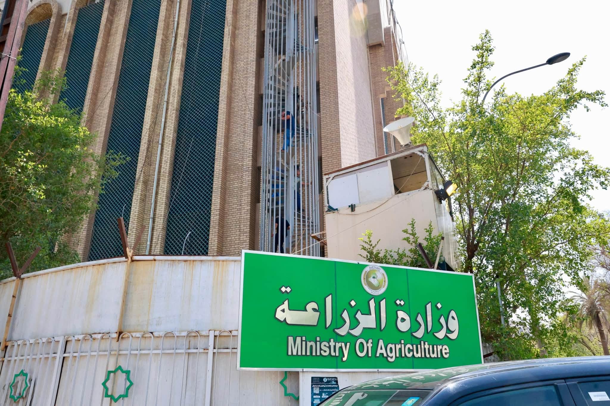 وەزارەتی کشتوکاڵی عێراق: کۆتایی بە هاوردەکردنی بنەتۆو دەهێنین