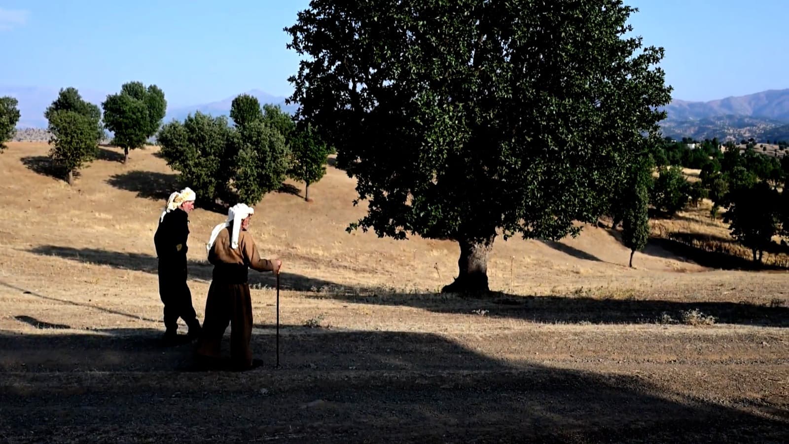 100-year old local serves as Kurdistan Region’s very own ‘Guardian of the Trees’