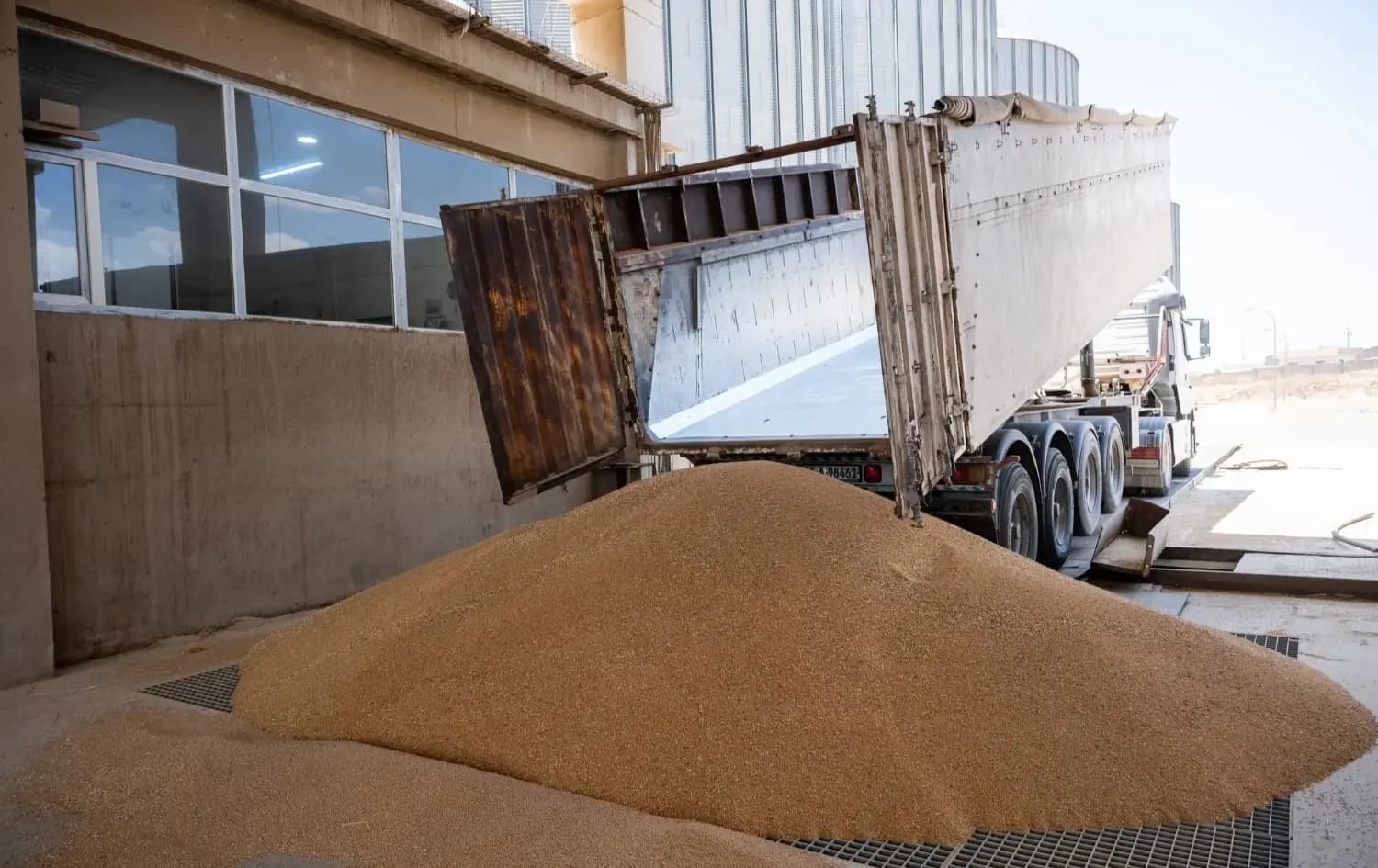 Private sector begins buying remaining Kurdistan wheat