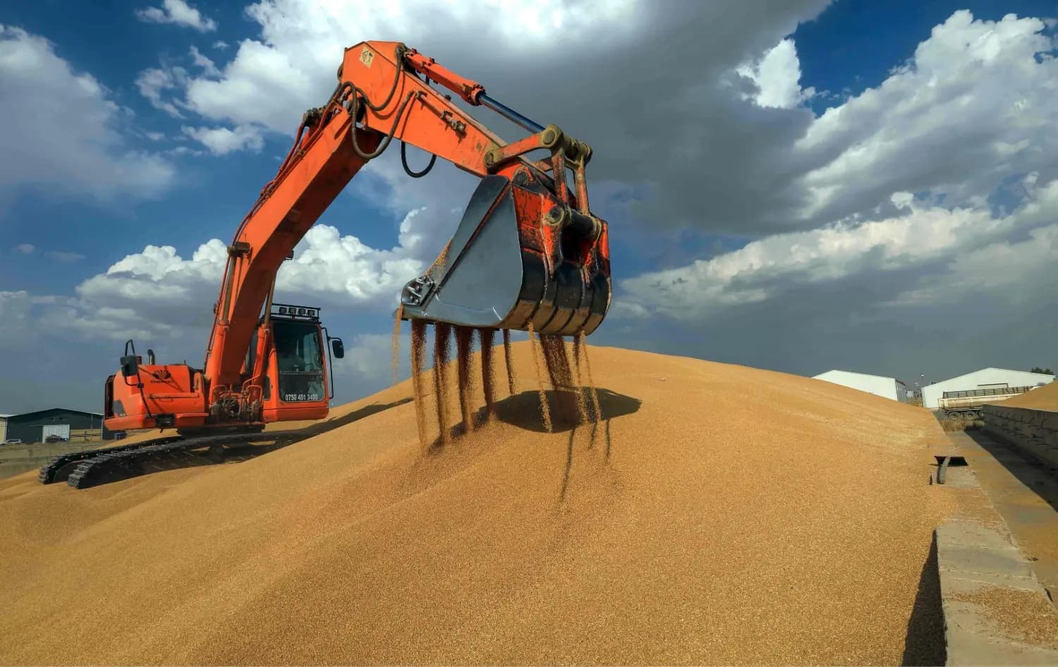 جووتیاران داوای پارەی گەنم دەکەن و وەزارەتی بازرگانی دەڵێت، بەڵێن دراوە بەمزووانە پارە خەرج بکرێ